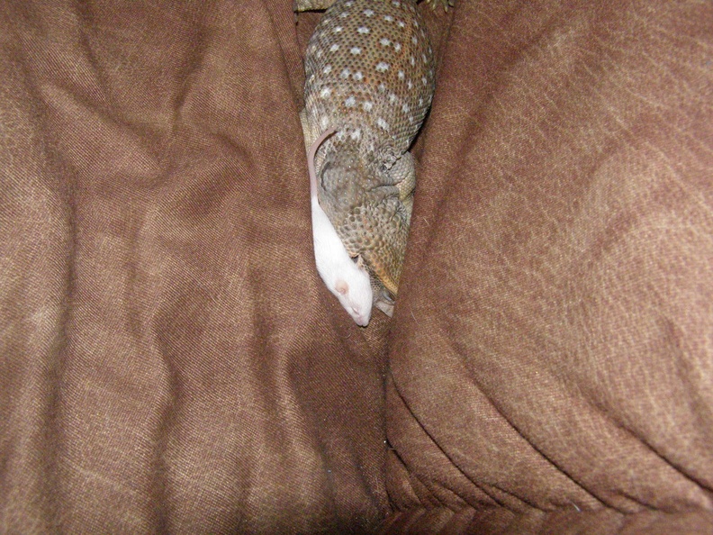 PA090034