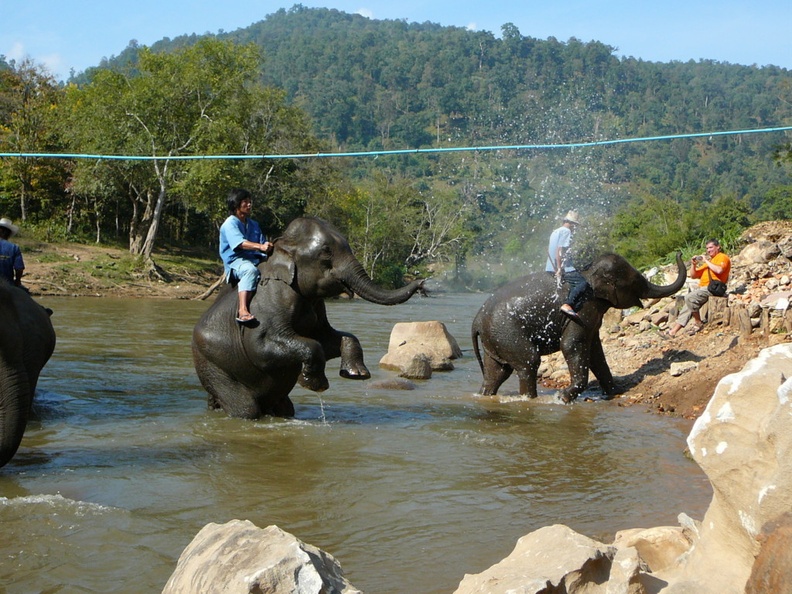 sprchovani-slonu-i-prihlizejicich