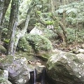 rezervace-minnamurra-australie_480x640.jpg
