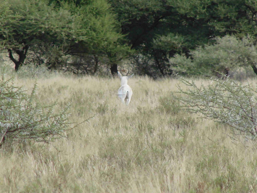 Afrika 2007 324