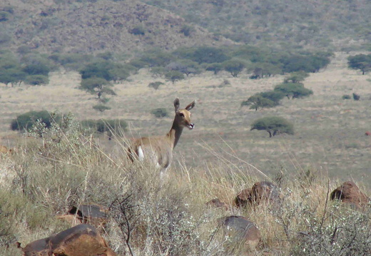 Afrika 2007 429