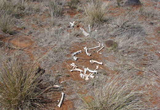 Afrika 2007 430