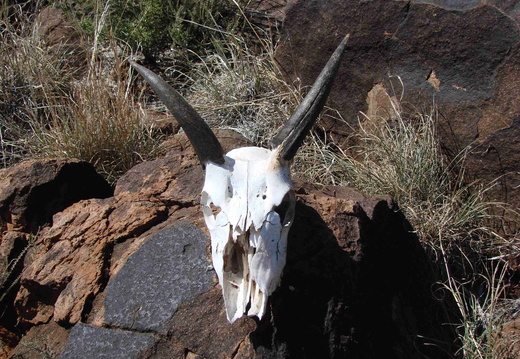 Afrika 2007 431