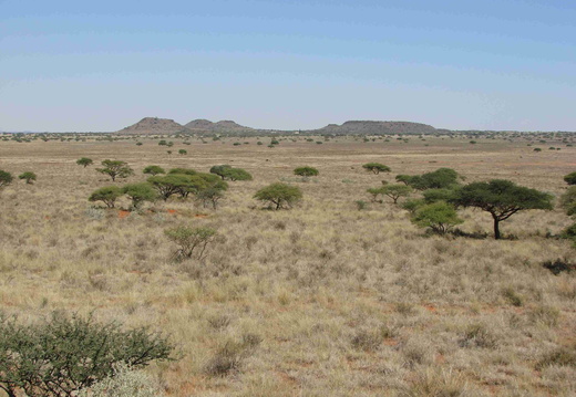 Afrika 2007 432