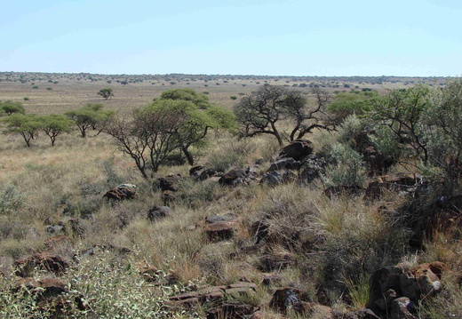 Afrika 2007 433