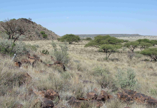 Afrika 2007 434